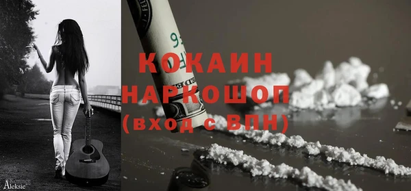 спиды Новозыбков