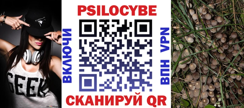 купить наркотики цена  Туймазы  Псилоцибиновые грибы прущие грибы 
